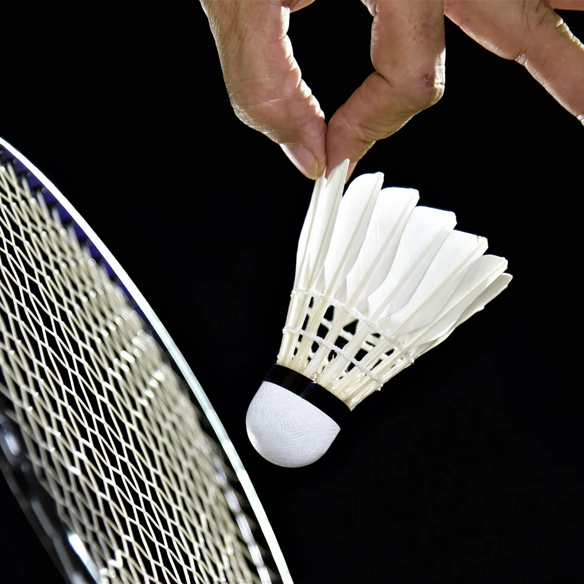 Set di 6 volani per badminton Torro Tech Hit 750, piume naturali