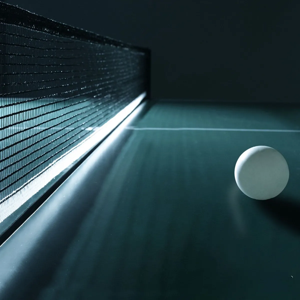 Confezione 3 palline ping pong Schildkroet Champion 3 stelle ITTF