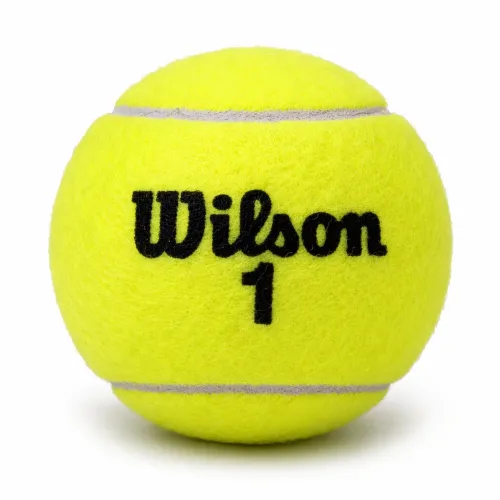 Palle Tennis Wilson Roland Garros Clay Court | Rimbalzo regolare
