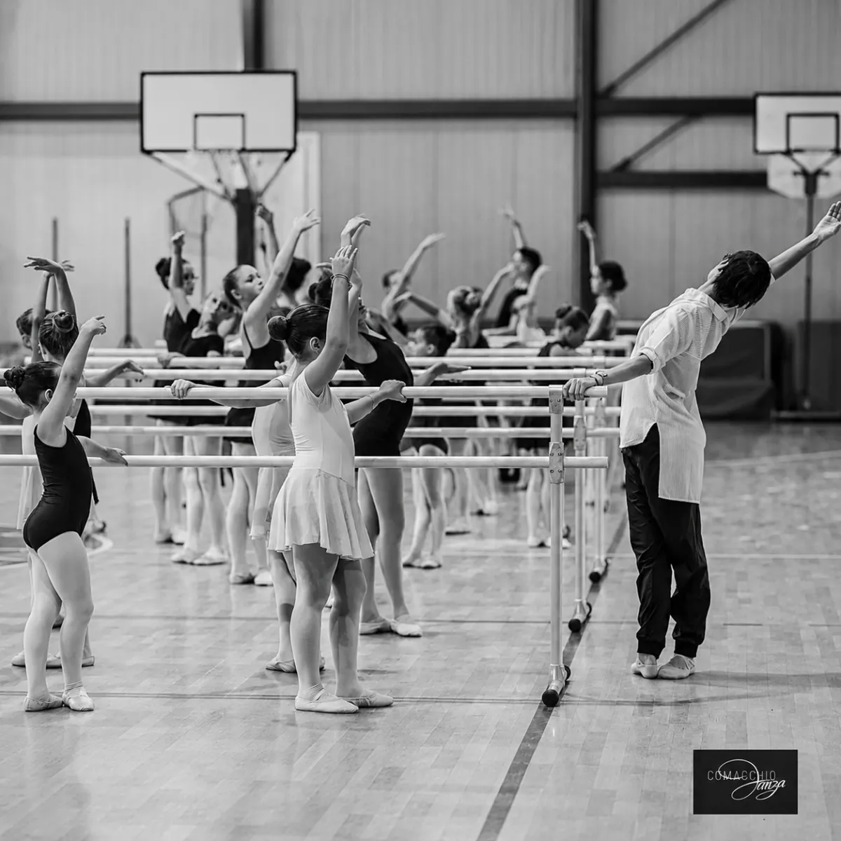 Sbarre danza mobili professionali Accademia