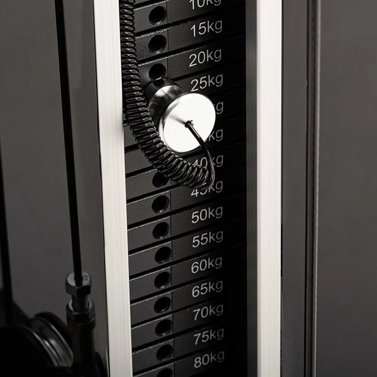Pectoral Fly e Rear Deltoid Diamond professionale