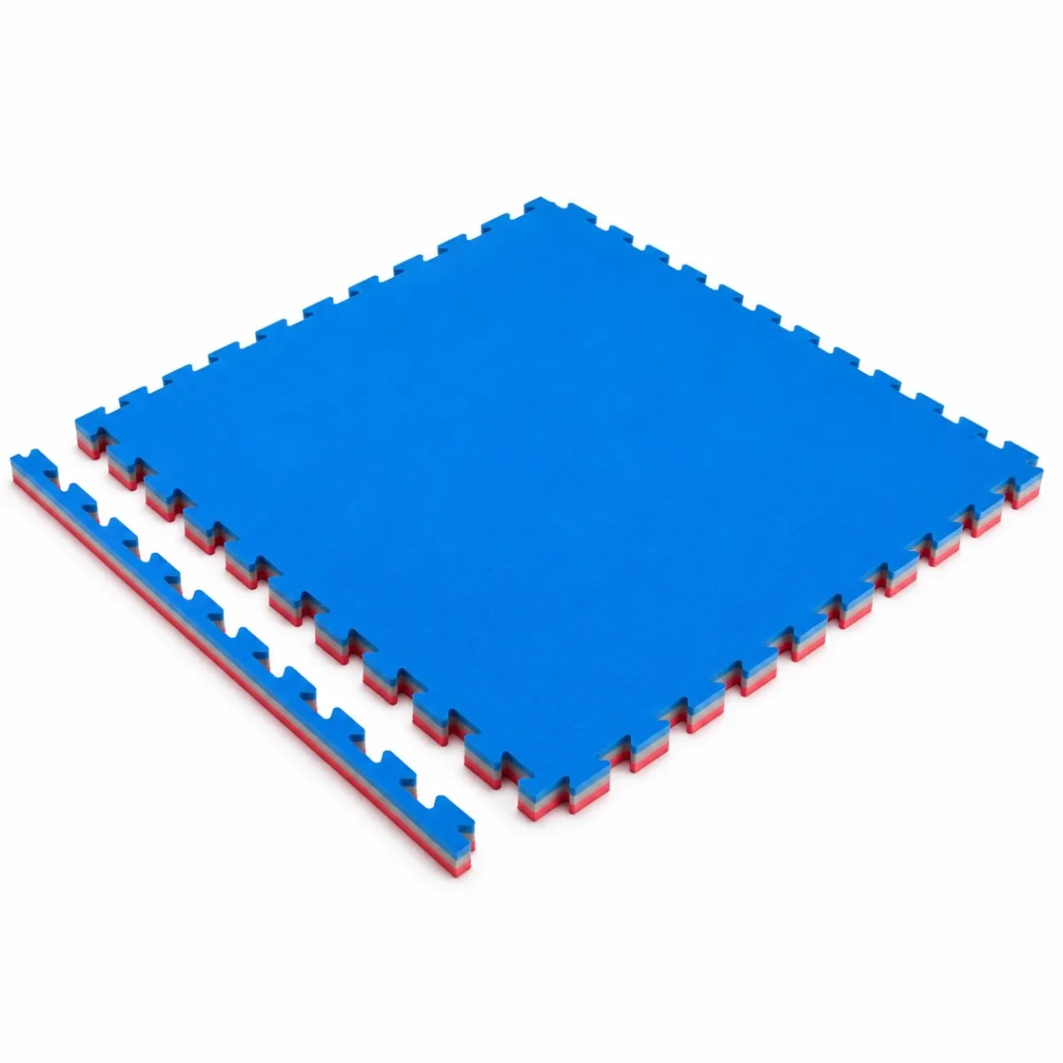 Tatami Multisport Basic spessore 2,2