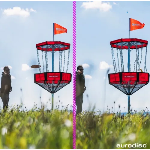Canestro Disc Golf Eurodisc Chainwalker | Conquest