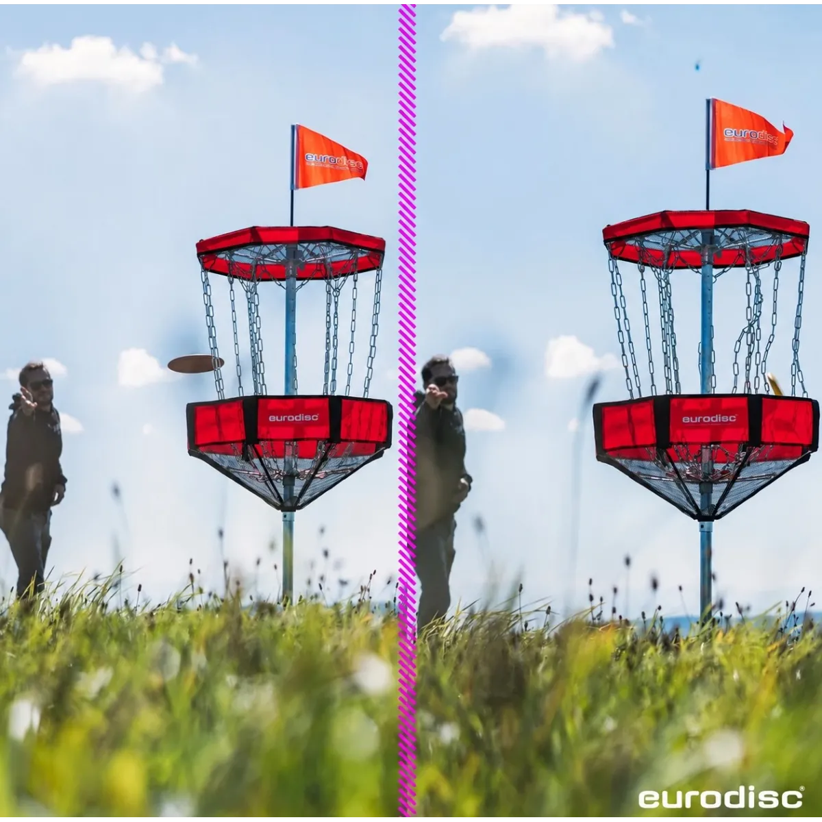 Canestro Disc Golf Eurodisc Chainwalker | Conquest