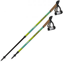 Coppia bastoncini Nordic Walking telescopici