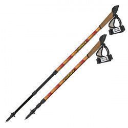 Coppia bastoncini Nordic Walking telescopici