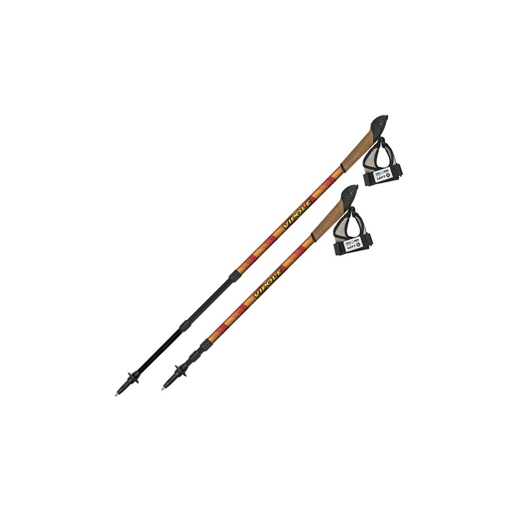 Coppia bastoncini Nordic Walking telescopici