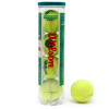 Palle tennis Wilson Staretr Play Green stage 1
