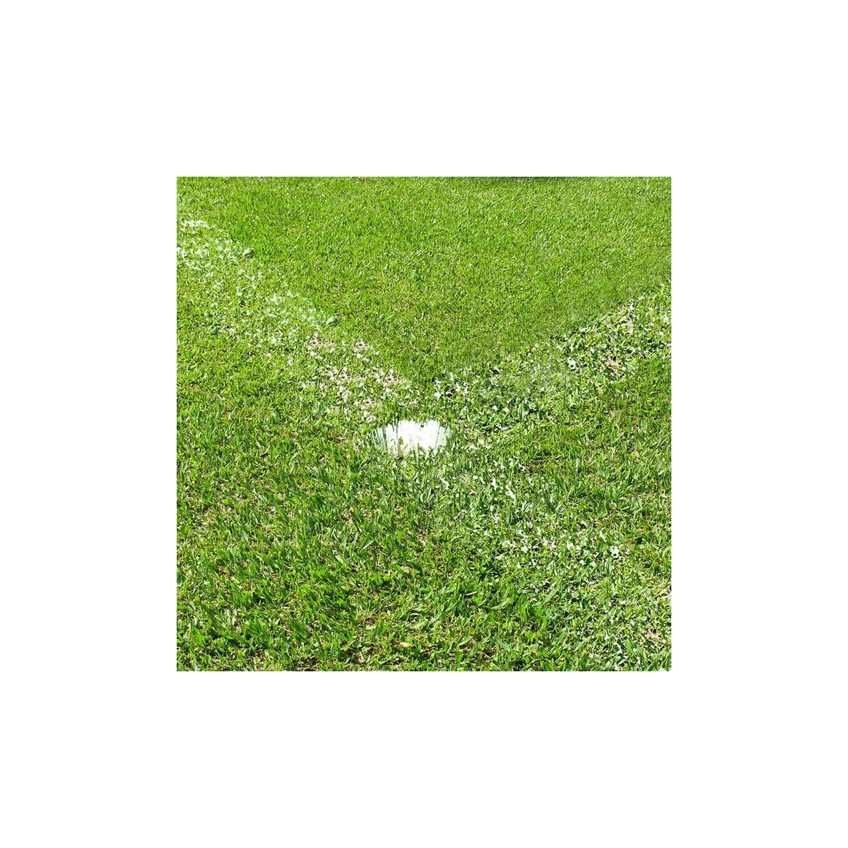 Marcatore tipo Plifix per campi in erba