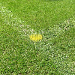 Marcatore tipo Plifix per campi in erba, giallo