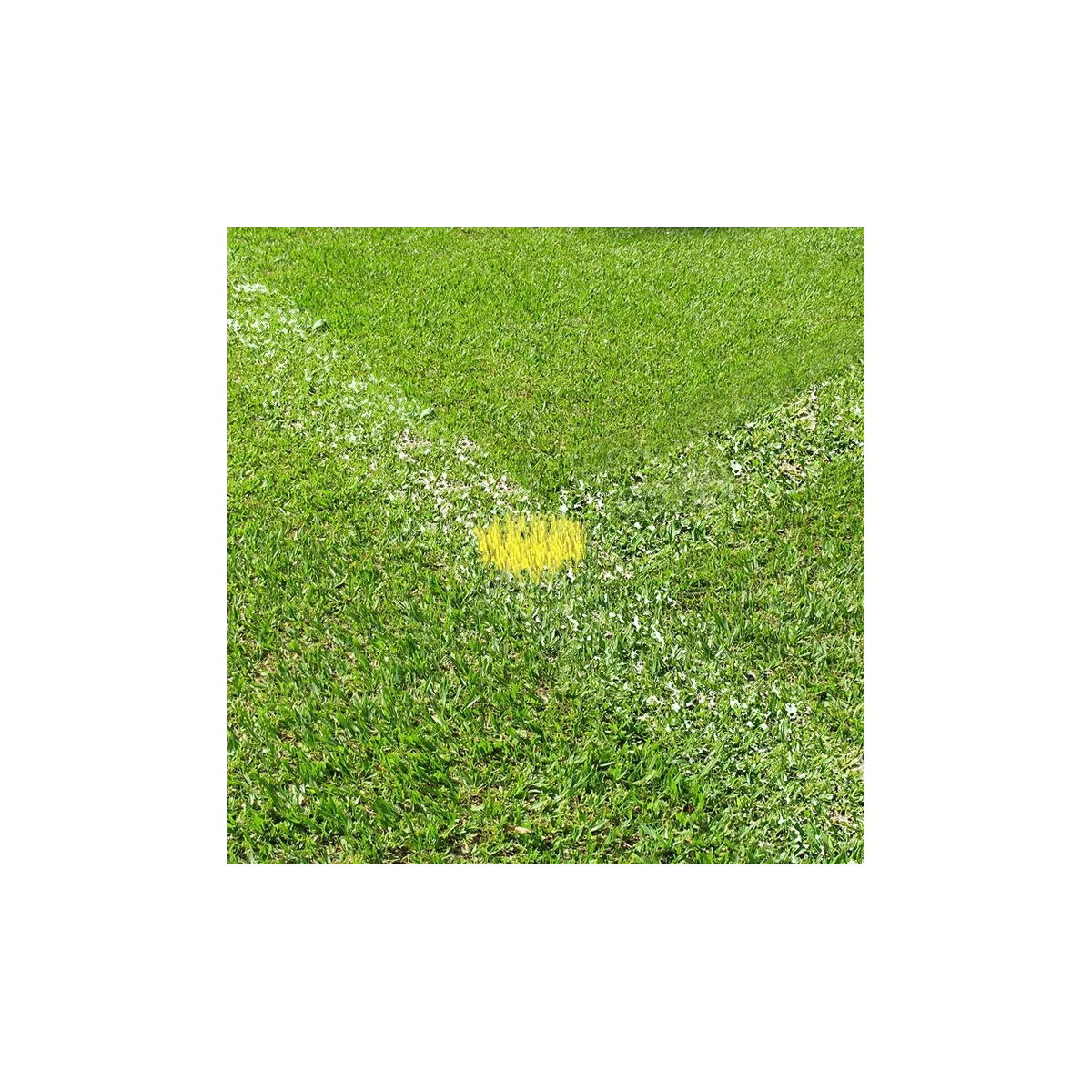 Marcatore tipo Plifix per campi in erba, giallo