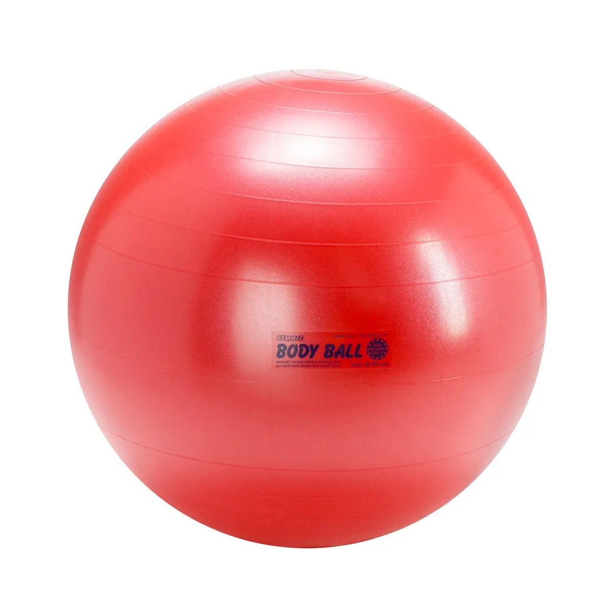 Palla ginnica BodyBall 55 cm antiscoppio
