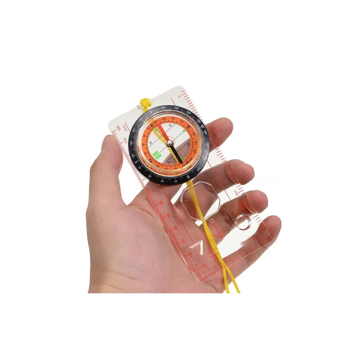Bussola scolastica per orienteering