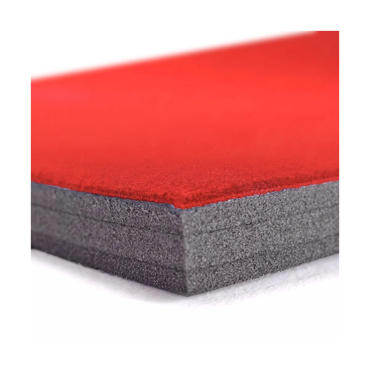 dettaglio pista corpo libero Conquest