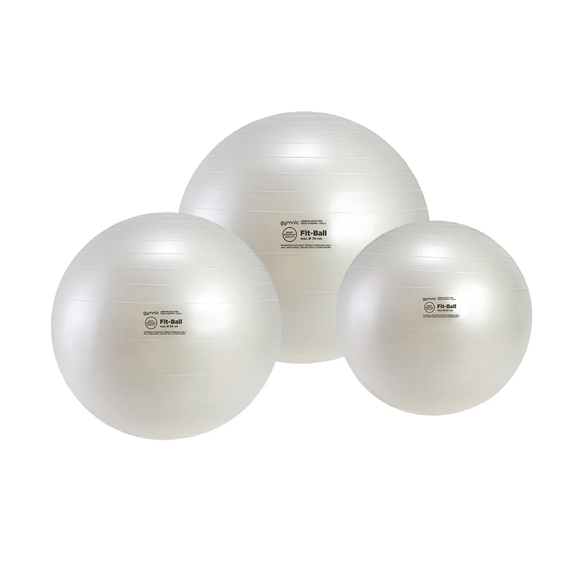 palle Fit-Ball in vari formati