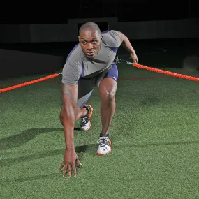 The Cheetah, composto da 2 elastici da 245 cm. e da cintura regolabile con imbottitura in neoprene. Misura e resistenza unica.