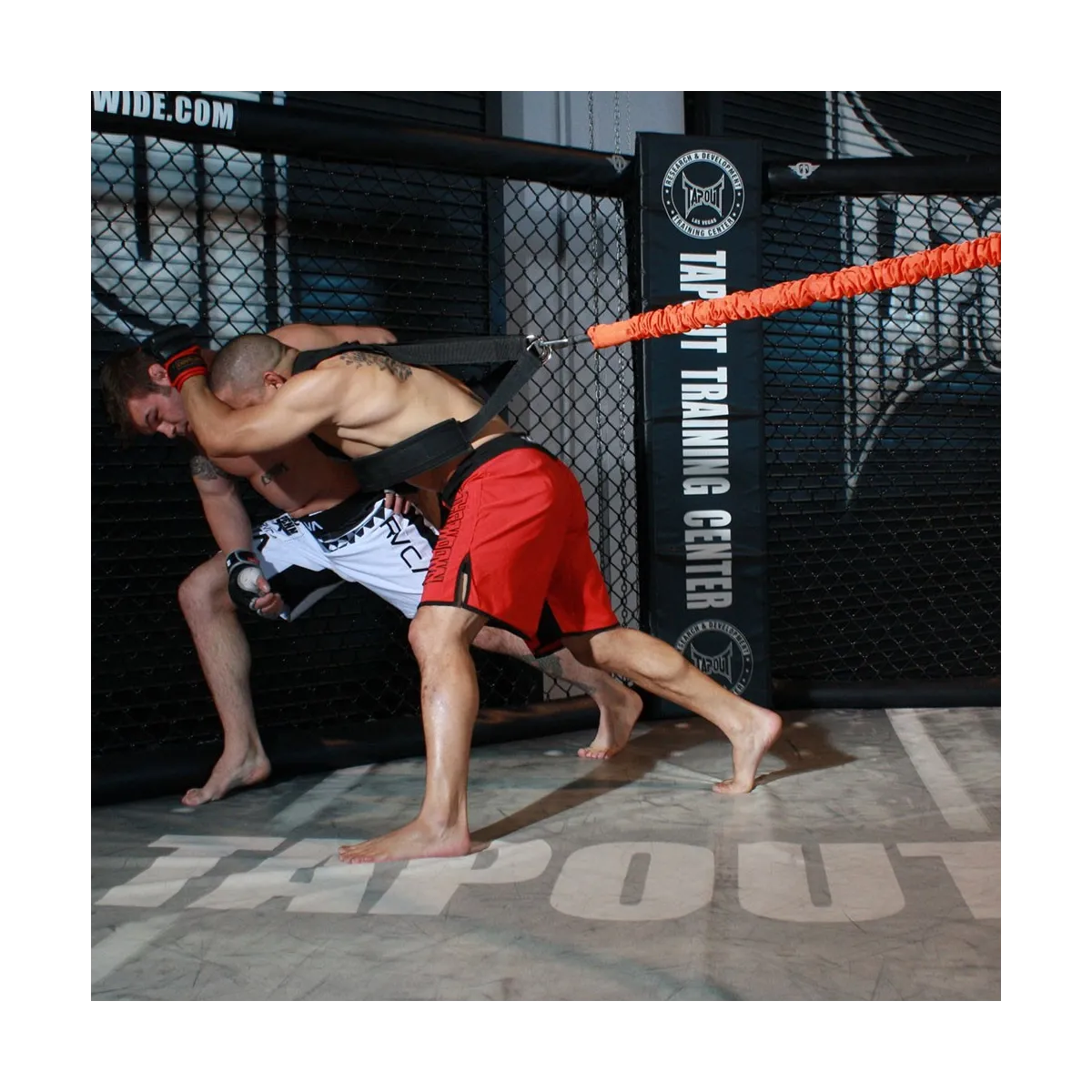 Accelerator 35 kg., elastico acceleratore da 305 cm. con imbragatura pettorale ed aggancio ad anello