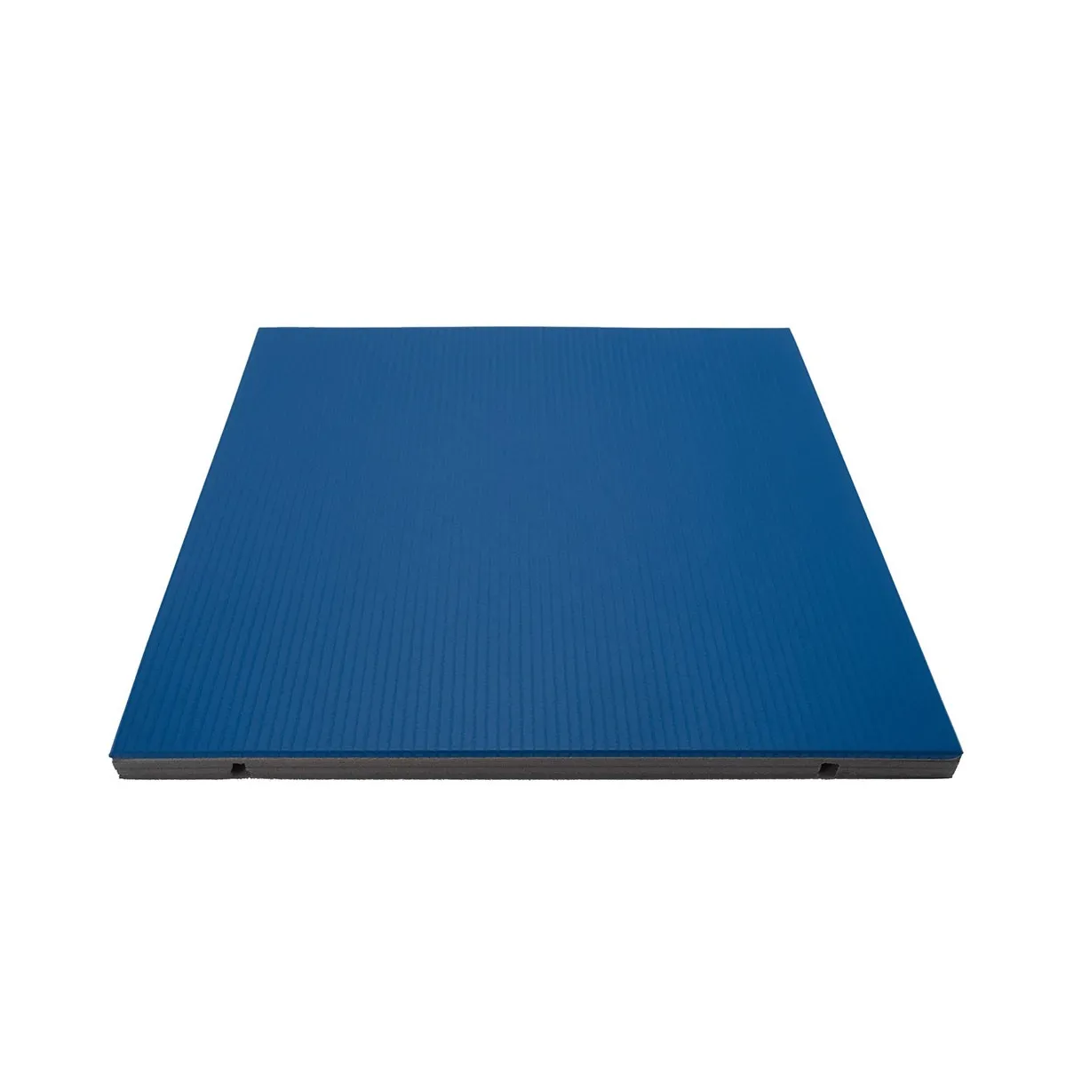 Judo I-TIS Training grande blu