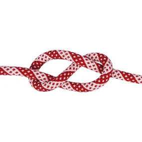 Corda dinamica Camp Quasar 9,9 mm rossa