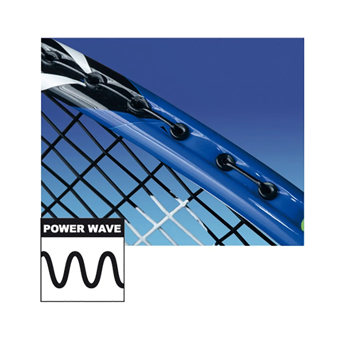 arrowspeed dettaglio rete