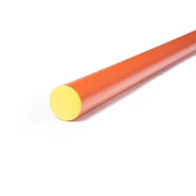 testa Asta ginnica