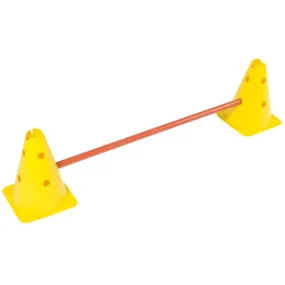 Asta ginnica su coni