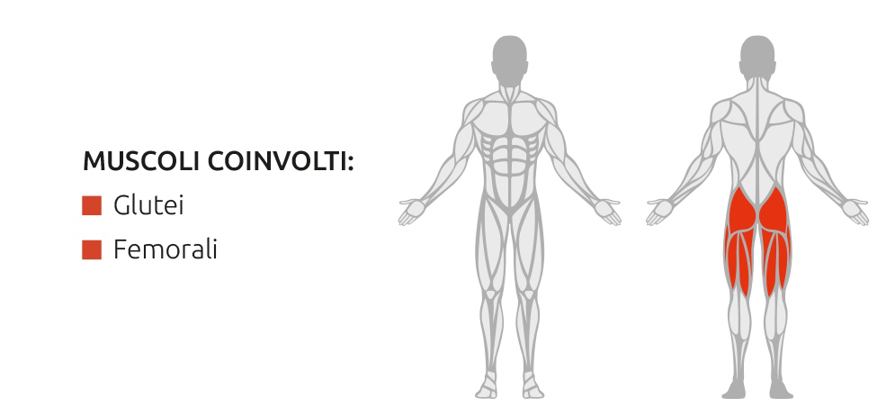 Glutei e femorali coinvolti durante l’utilizzo della Hip Thrust