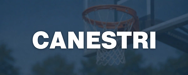 Canestri da basket